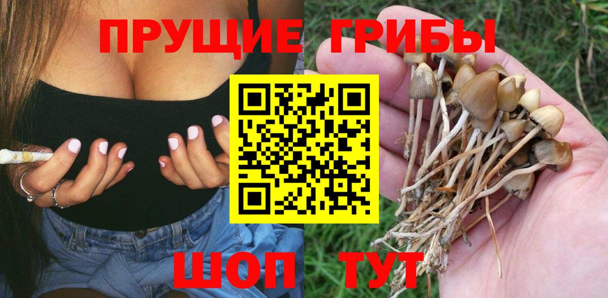 Галлюциногенные грибы Psilocybine cubensis  Вход с VPN  Галлюциногенные грибы ЛСД  Воскресенск 