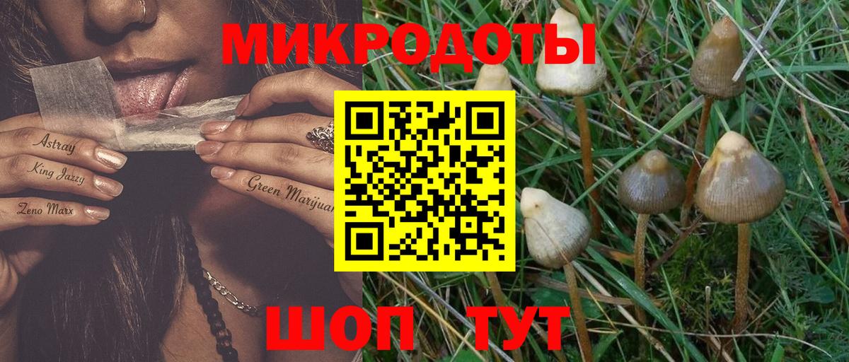 Псилоцибиновые грибы мухоморы Воскресенск